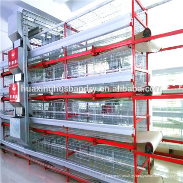 large-scale automatic poultry farming equiment